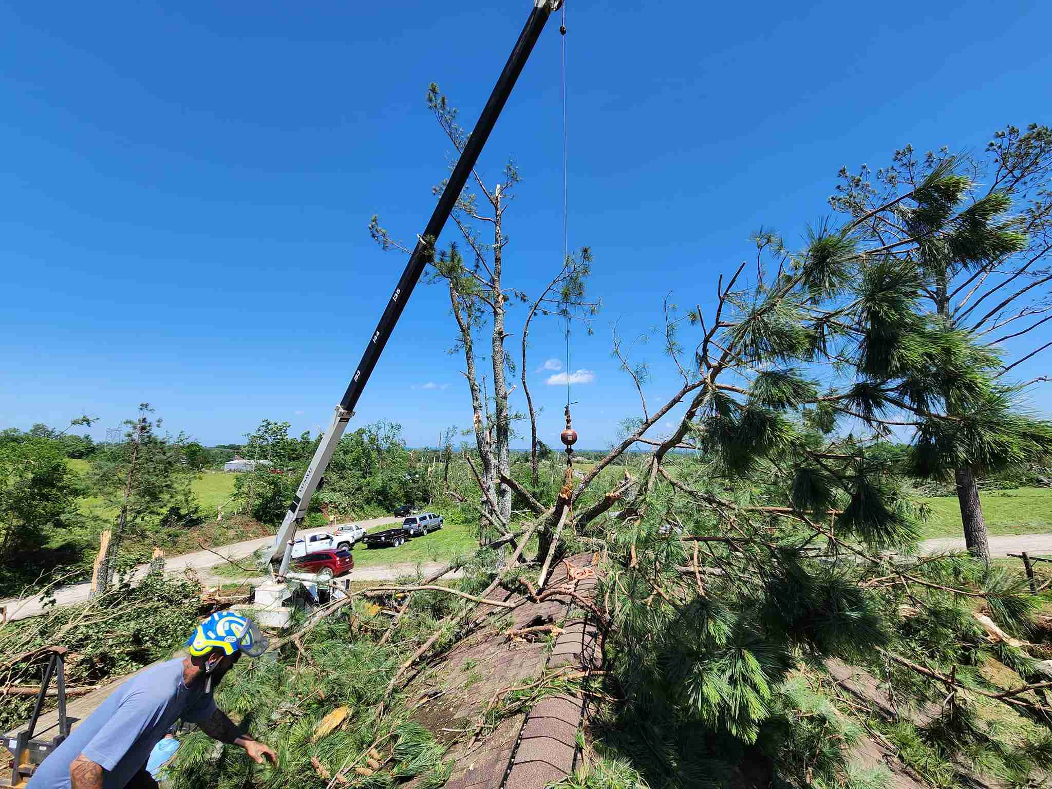 crane assited tree services 1